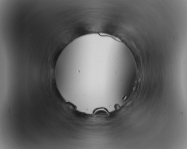 X0000094930521200712271555