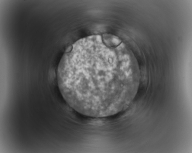 X0000094930523200712271555