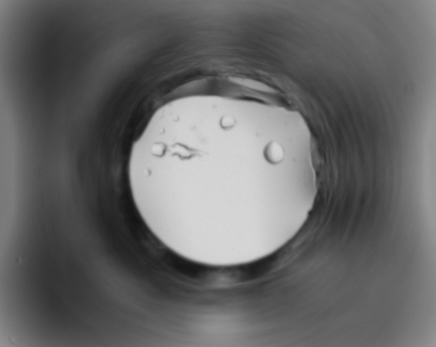 X0000094930525200712271555