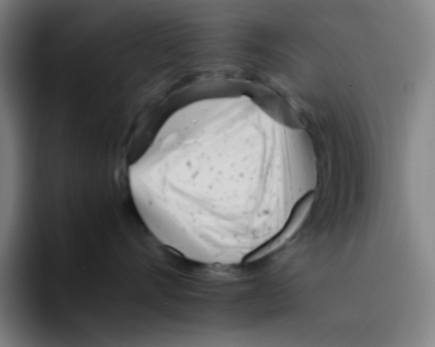 X0000094930528200712271555