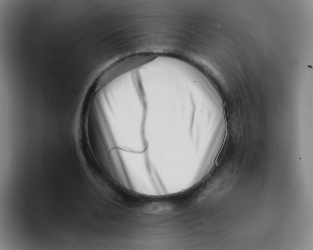 X0000094930536200712271554