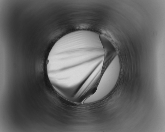 X0000094930543200712271555