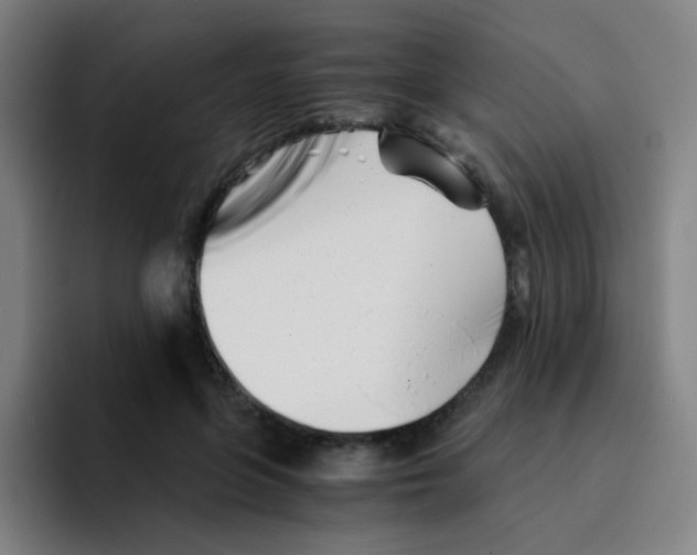 X0000094930551200712271555