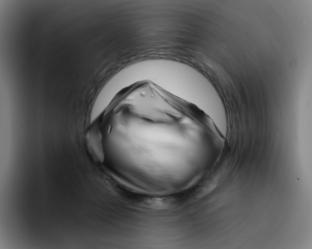 X0000094930558200712271555