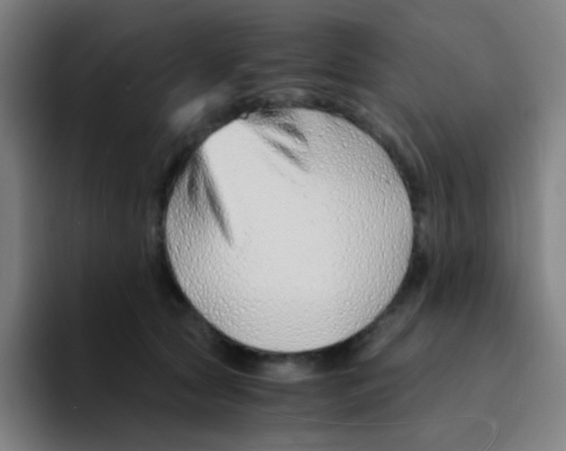 X0000094930561200712271555
