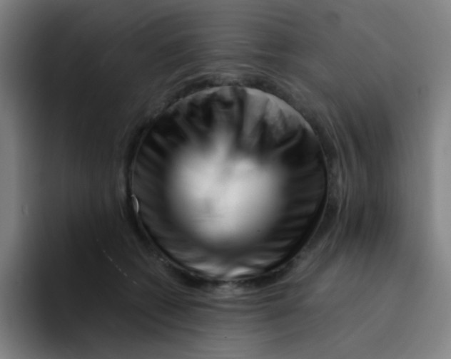X0000094930562200712271555
