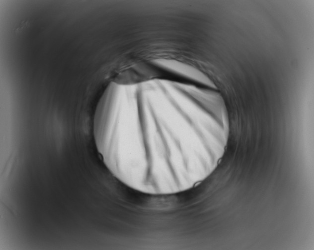 X0000094930571200712271555