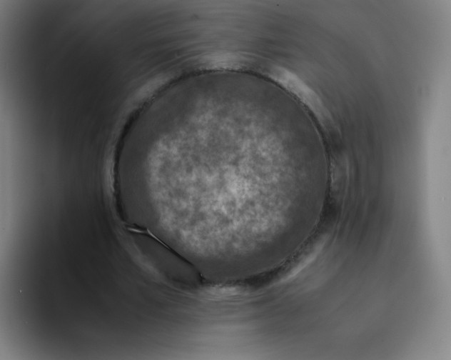 X0000094930581200712271554