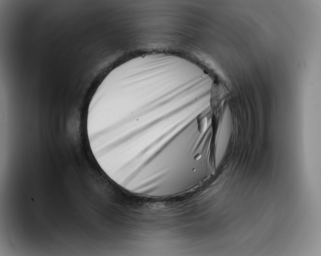 X0000094930588200712271554