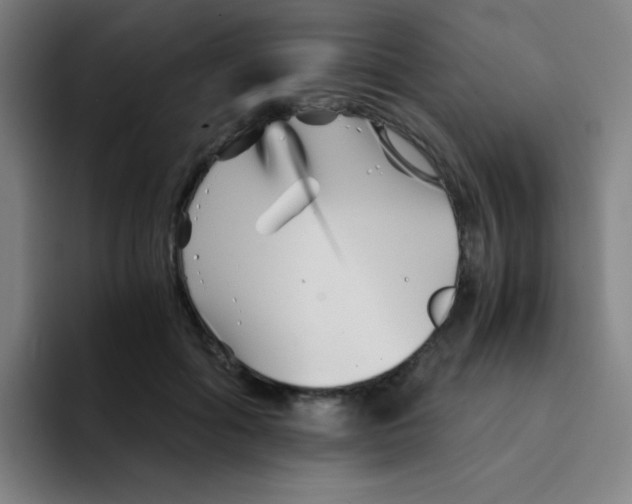 X0000094930602200712271554