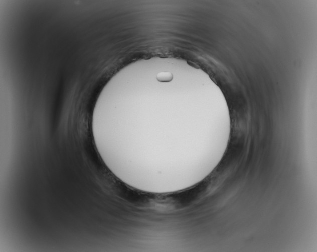 X0000094930603200712271554