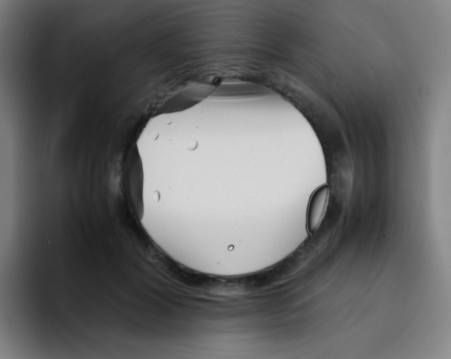X0000094930604200712271554