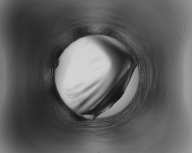 X0000094930605200712271554