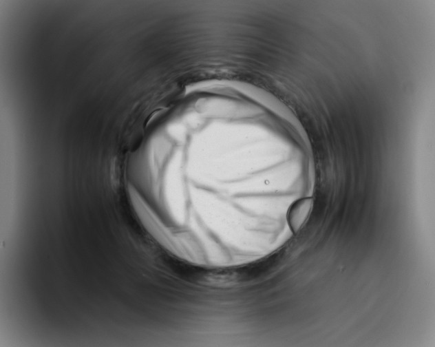 X0000094930606200712271554