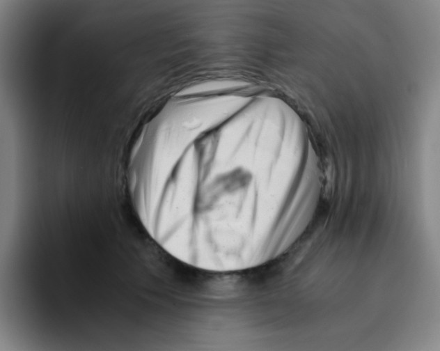 X0000094930609200712271554