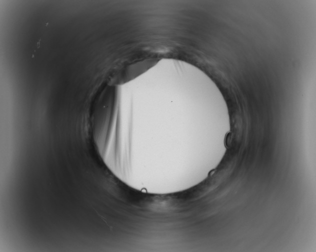 X0000094930612200712271554