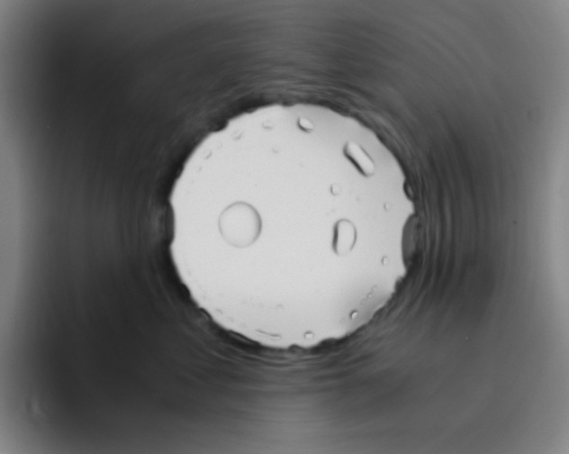X0000094930621200712271554