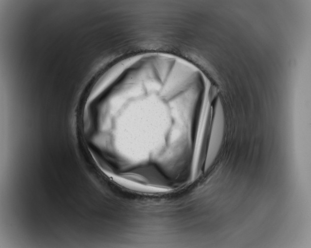 X0000094930626200712271553