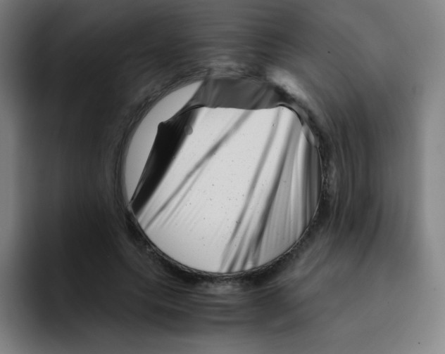 X0000094930639200712271553