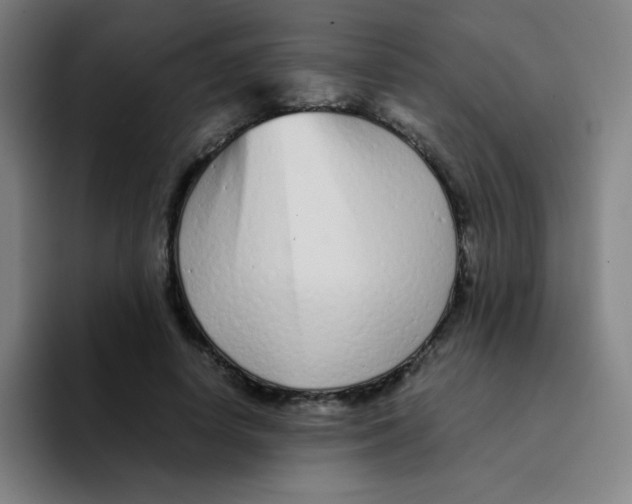 X0000094930642200712271553