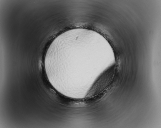 X0000094930644200712271553