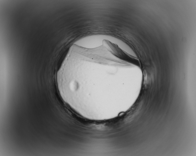 X0000094930648200712271553