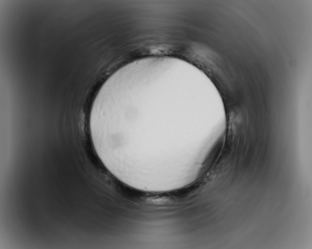 X0000094930650200712271553