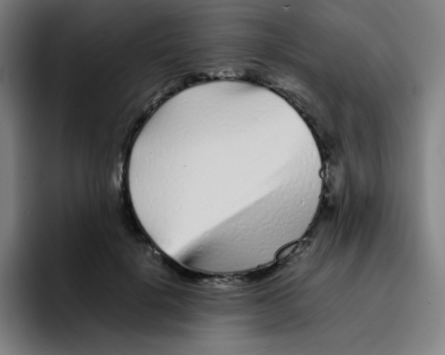 X0000094930652200712271553
