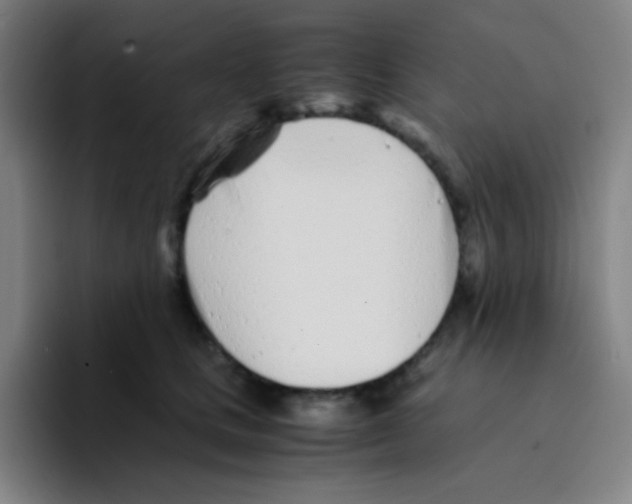 X0000094930661200712271554