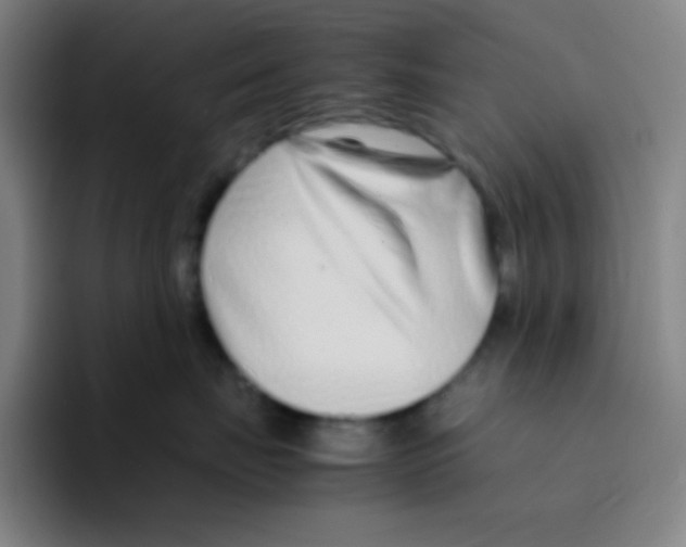 X0000094930671200712271554