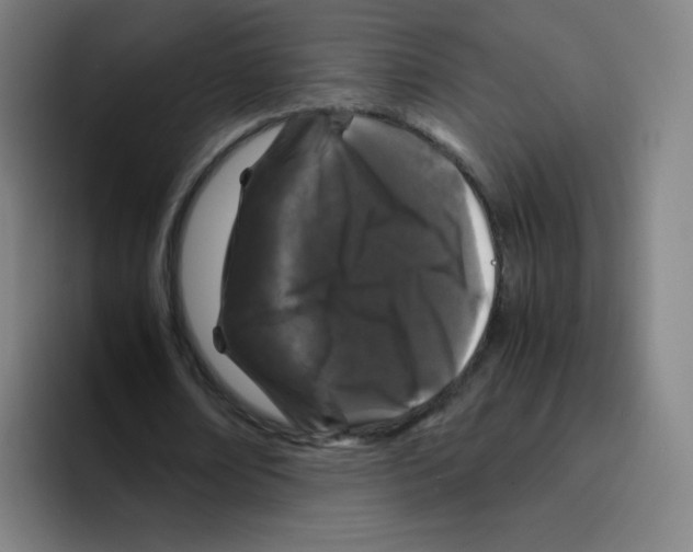 X0000094930674200712271553