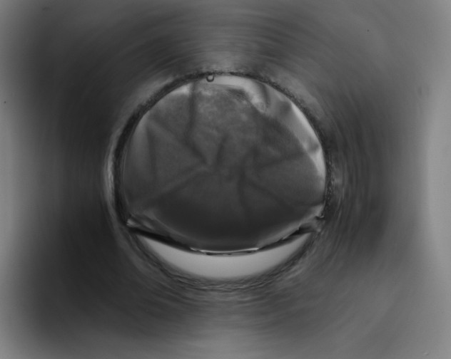 X0000094930678200712271553