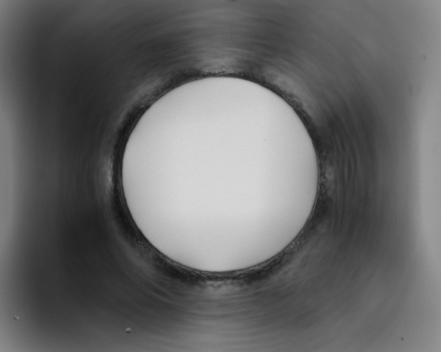 X0000094930686200712271553