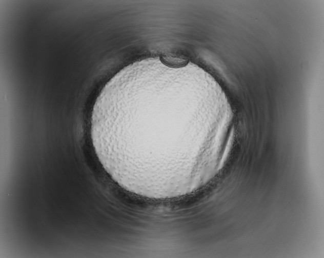 X0000094930687200712271553