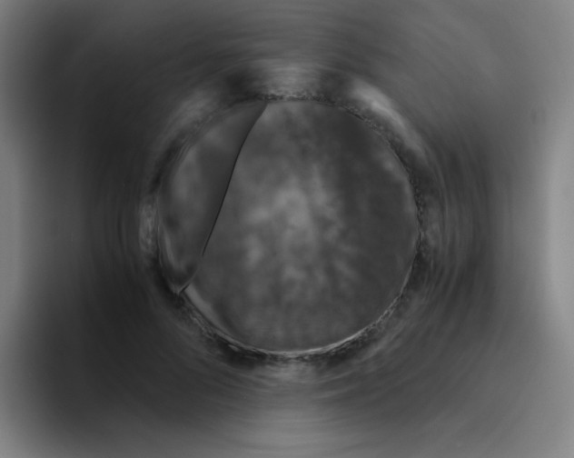 X0000094930696200712271553