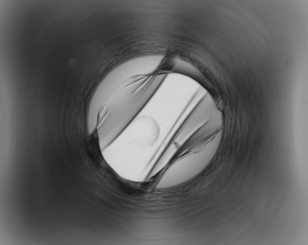 X0000094930700200712271553