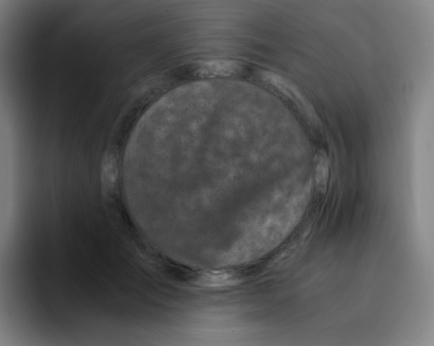 X0000094930701200712271553