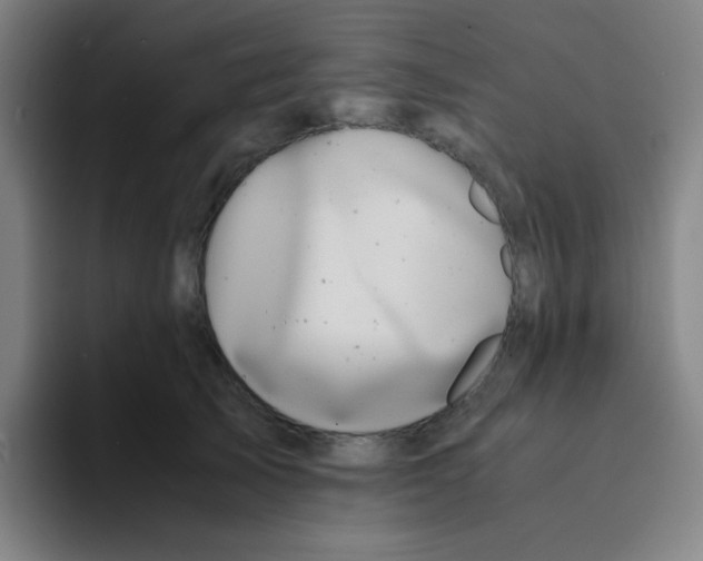 X0000094930705200712271553