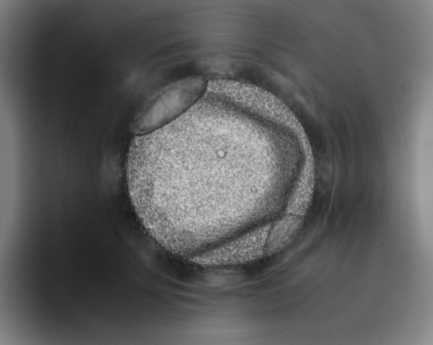 X0000094930707200712271553