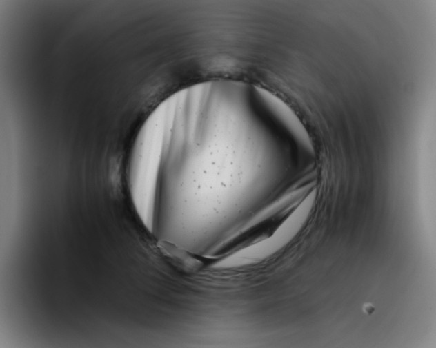 X0000094930708200712271553