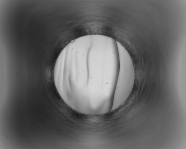 X0000094930709200712271553