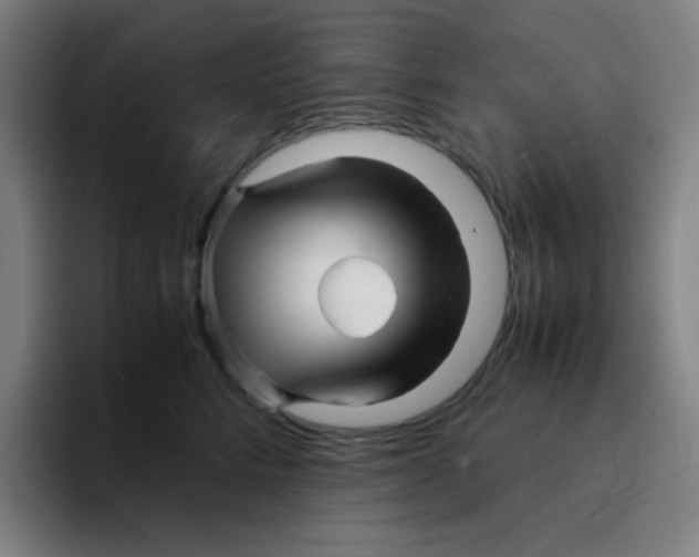 X0000094930712200712271553