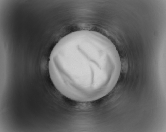 X0000094930713200712271553