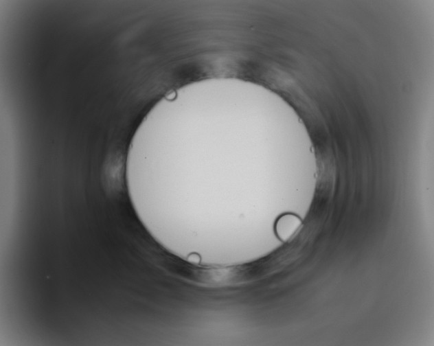X0000094930717200712271553