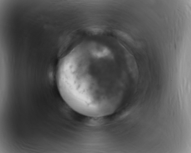 X0000094930720200712271553