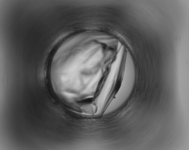 X0000094930723200712271552
