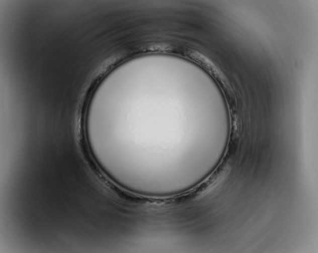 X0000094930725200712271552