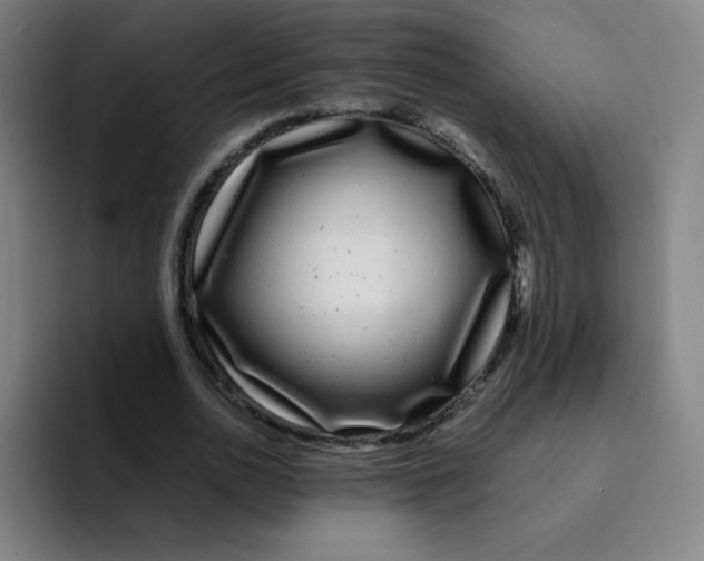 X0000094930726200712271552