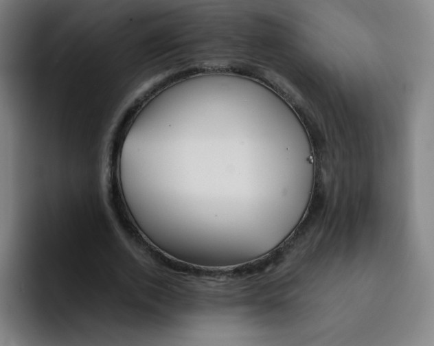 X0000094930728200712271552