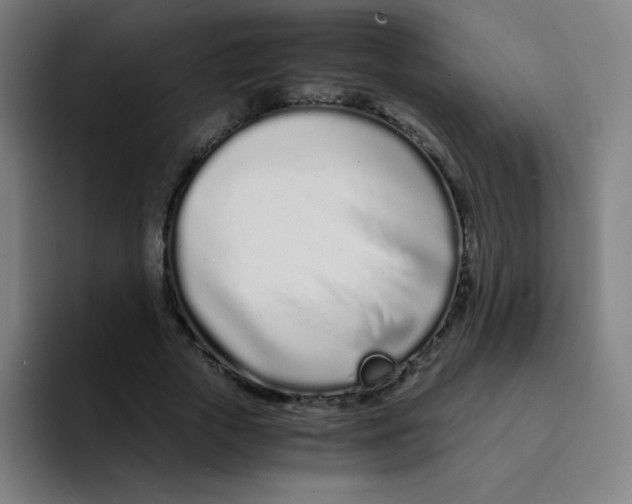 X0000094930729200712271552